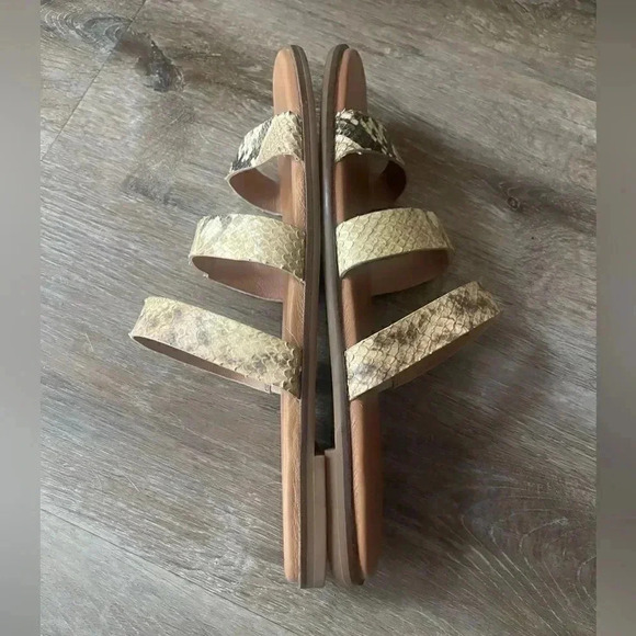 Madewell The Ilana Slide Sandal Snake Embossed Leather Size 10 Flats Slide Women - Picture 5 of 8